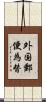 外国郵便為替 Scroll