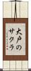 大戸のサクラ Scroll