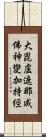 大毘盧遮那成佛神變加持經 Scroll