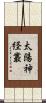 太陽神経叢 Scroll