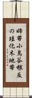 姉帯小鳥谷根反の珪化木地帯 Scroll