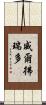 Wilfredo Scroll