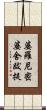 婆羅尼密婆舍跋提 Scroll
