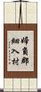 婦負郡細入村 Scroll