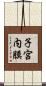 子宮内膜 Scroll