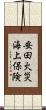 安田火災海上保険 Scroll
