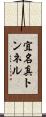 宜名真トンネル Scroll