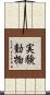 実験動物 Scroll