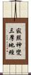 寂照神變三摩地經 Scroll