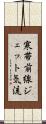 寒帯前線ジェット気流 Scroll
