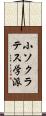 小ソクラテス学派 Scroll