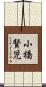 小橋賢児 Scroll