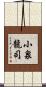小泉龍司 Scroll