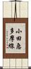 小田急多摩線 Scroll