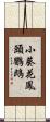 小葵花鳳頭鸚鵡 Scroll
