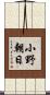 小野朝日 Scroll