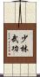 Shaolin Martial Arts Scroll