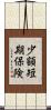 少額短期保険 Scroll