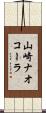 山崎ナオコーラ Scroll