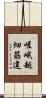 嵯峨越畑筋違 Scroll
