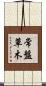 常盤草木 Scroll