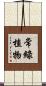 常綠植物 Scroll