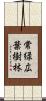 常緑広葉樹林 Scroll