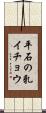平石の乳イチョウ Scroll