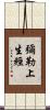 彌勒上生經 Scroll