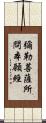 彌勒菩薩所問本願經 Scroll