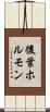 後葉ホルモン Scroll