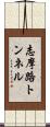 志摩路トンネル Scroll