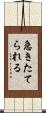 急きたてられる Scroll