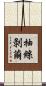 抽絲剝繭 Scroll