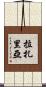 Lazarria Scroll