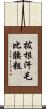 拔根汗毛比腰粗 Scroll