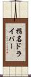 指名ドライバー Scroll