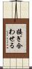 接ぎ合わせる Scroll