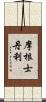 摩根士丹利 Scroll