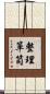 整理箪笥 Scroll