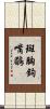 斑胸鉤嘴鶥 Scroll