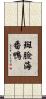 斑臉海番鴨 Scroll