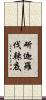 斫迦羅伐辣底 Scroll
