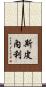 Spinelli Scroll