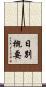 日別概要 Scroll