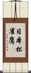 日本松雀鷹 Scroll