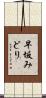 早坂みどり Scroll