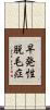 早発性脱毛症 Scroll