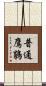 普通鷹鵑 Scroll