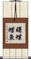 曙蝶蝶魚 Scroll